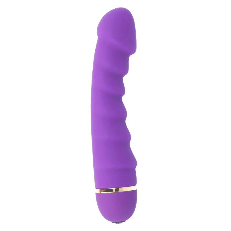 INTENSE SALLY - 20 speed waterproof silicone vibrator (purple)