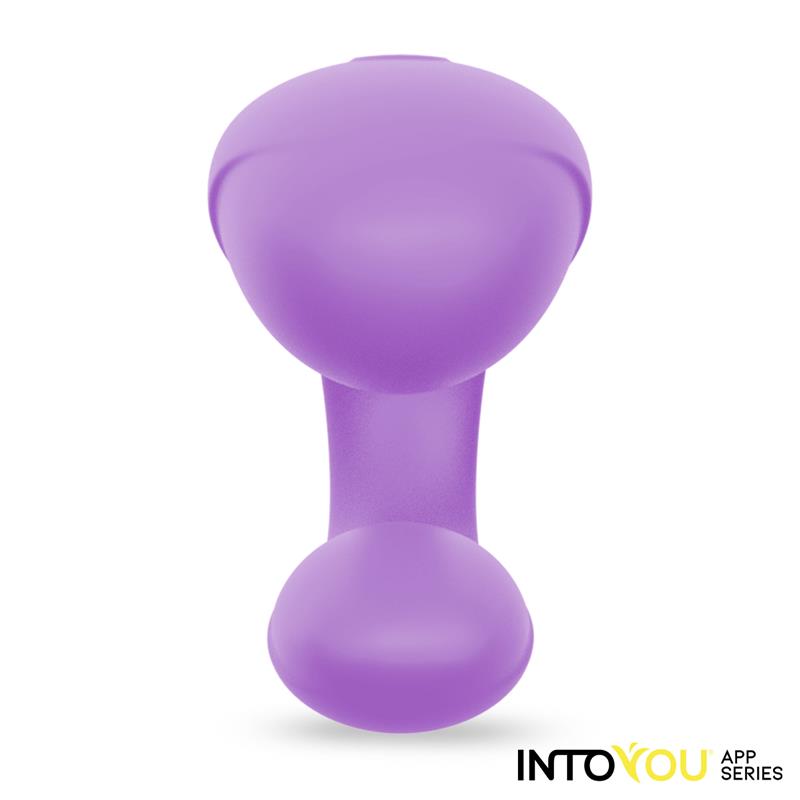 INTOYOU APP SERIES COUPLE TOY - Pair Vibrator