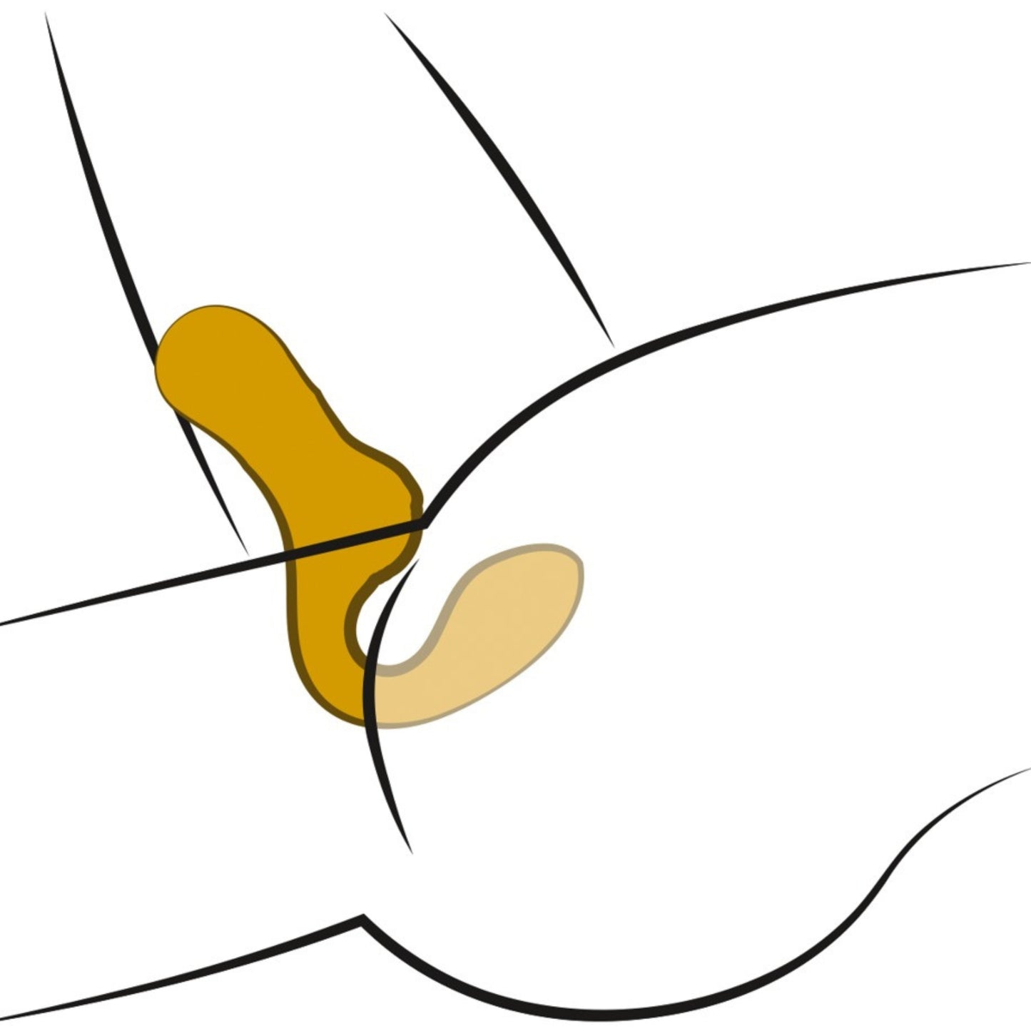 Your New Favourite Double Vibrator G-punkta vibrators