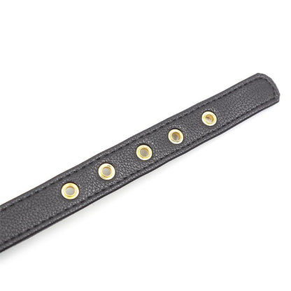 Kakla siksna ar zvārgulīti LATETOBED BDSM LINE